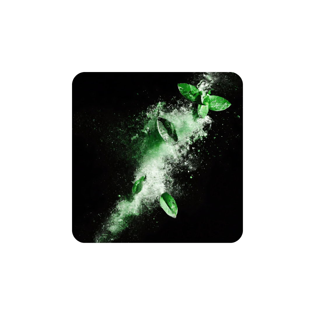 Aroma Nautral Mentol